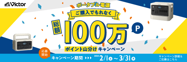 購入で100万ポイント山分け