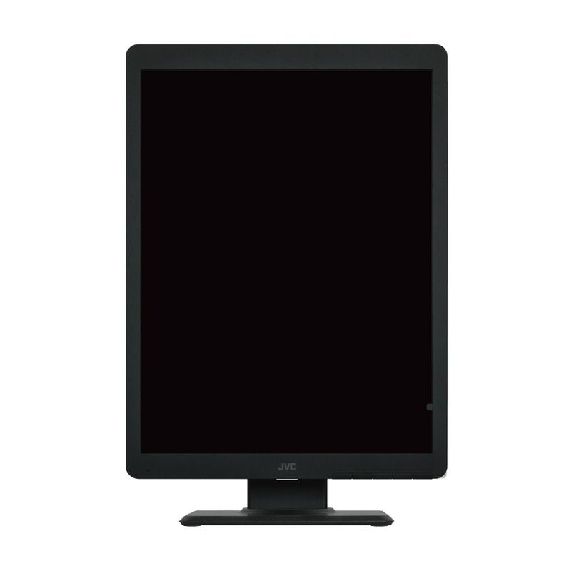 200万画素21.3型モノクローム液晶モニター JESRA X-0093(管理