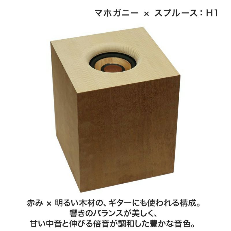 発送まで約1か月】ワイヤレスウッドスピーカー LIGNOTONE WDS-01 | JVC